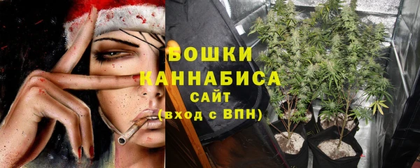 винт Горняк