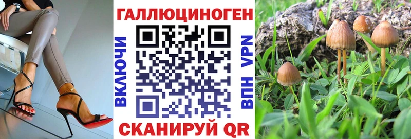 цены   Дегтярск  Галлюциногенные грибы мухоморы 